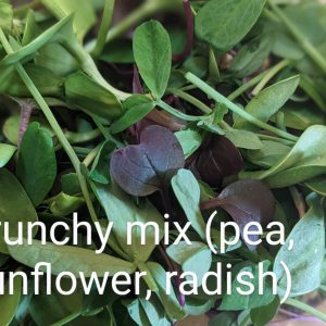 Crunchy Micro-Mix (pea, sunflower, radish)